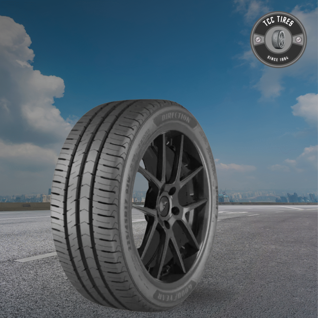 205/55 R16 GOODYEAR EAGLE SPORT 2 91V